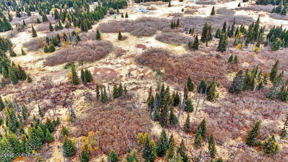 65135 Clyde Thomas Avenue, Anchor Point, Alaska image 27