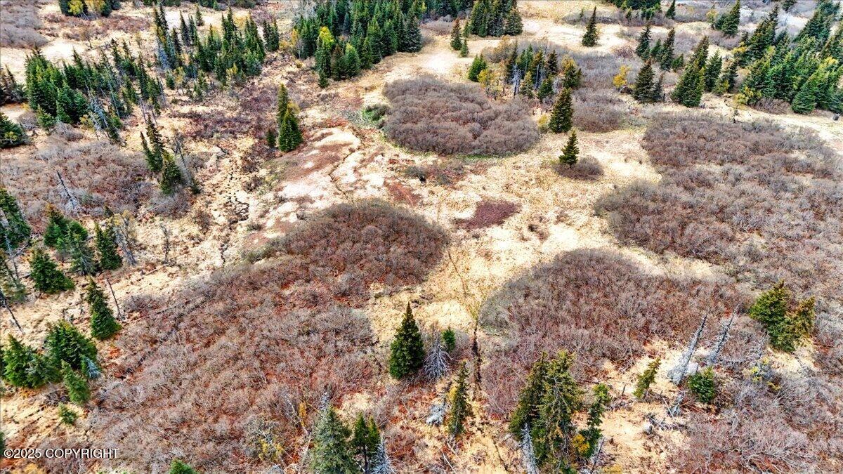 65135 Clyde Thomas Avenue, Anchor Point, Alaska image 33