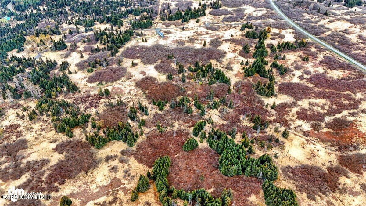 65135 Clyde Thomas Avenue, Anchor Point, Alaska image 16