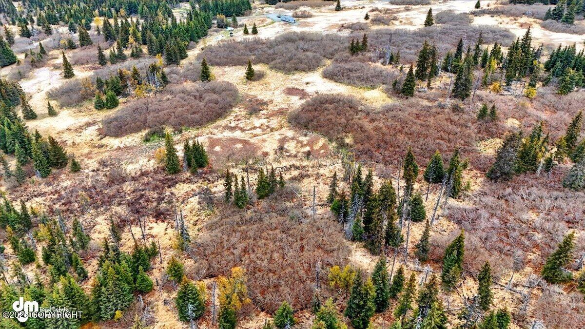 65135 Clyde Thomas Avenue, Anchor Point, Alaska image 6