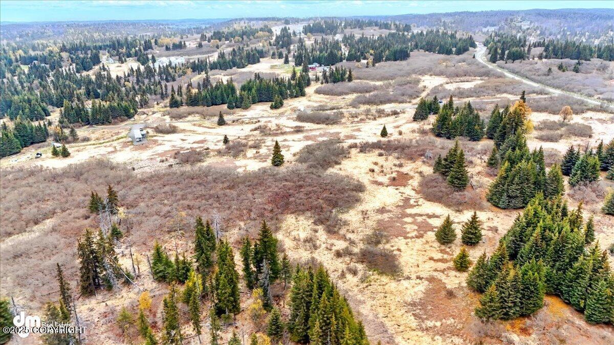 65135 Clyde Thomas Avenue, Anchor Point, Alaska image 22