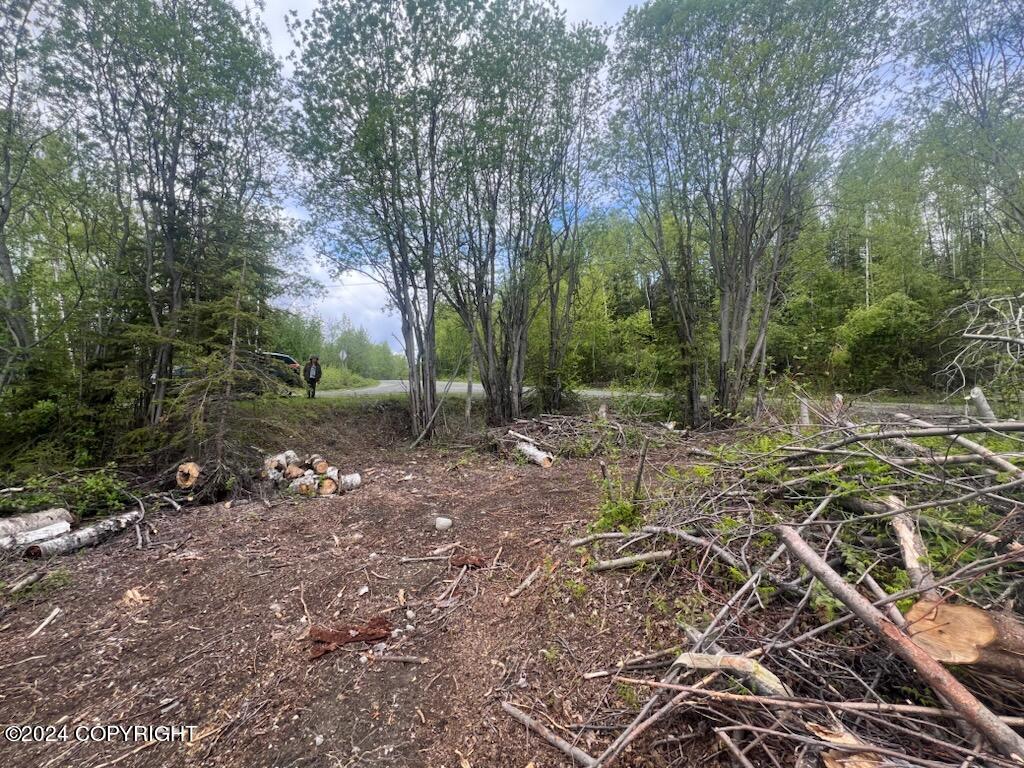 L7 S Erika Drive #1004, Big Lake, Alaska image 4