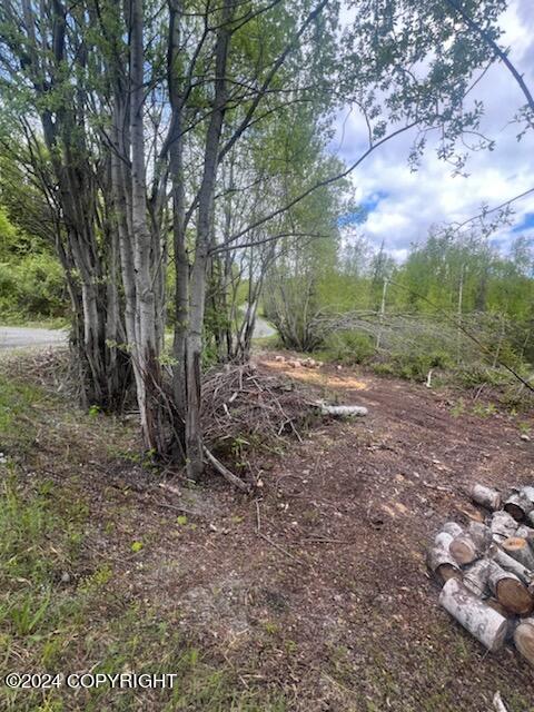 L7 S Erika Drive #1004, Big Lake, Alaska image 1