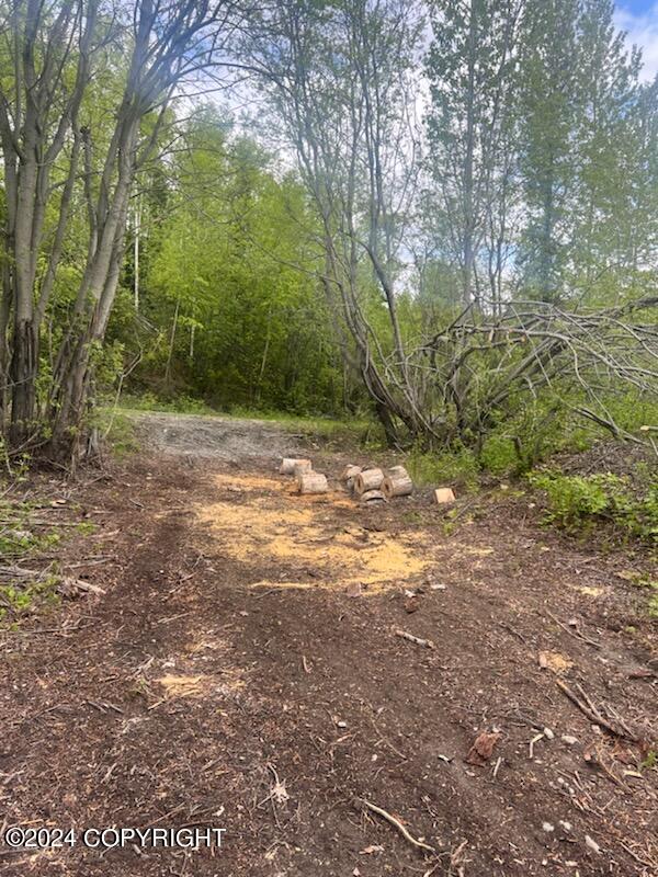 L7 S Erika Drive #1004, Big Lake, Alaska image 5