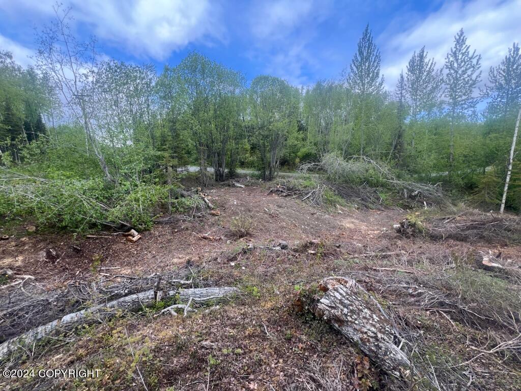 L7 S Erika Drive #1004, Big Lake, Alaska image 3
