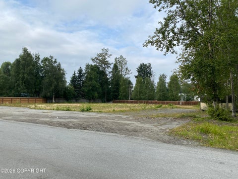Photo of 4520 Shelikof Street, Anchorage, AK 99507 (MLS # 26-11809)