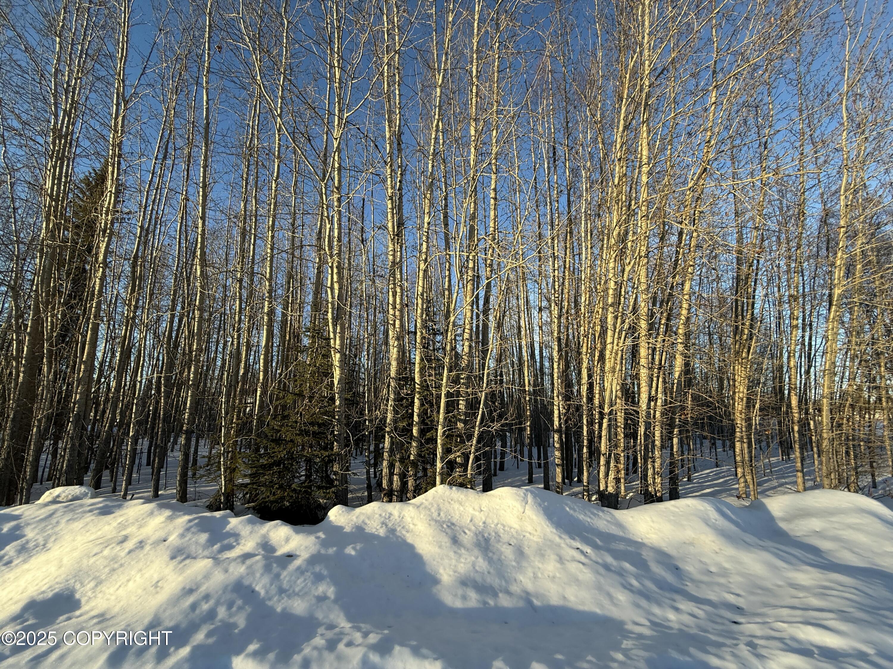 NHN N Nphs Blvd Street, North Pole, Alaska image 1