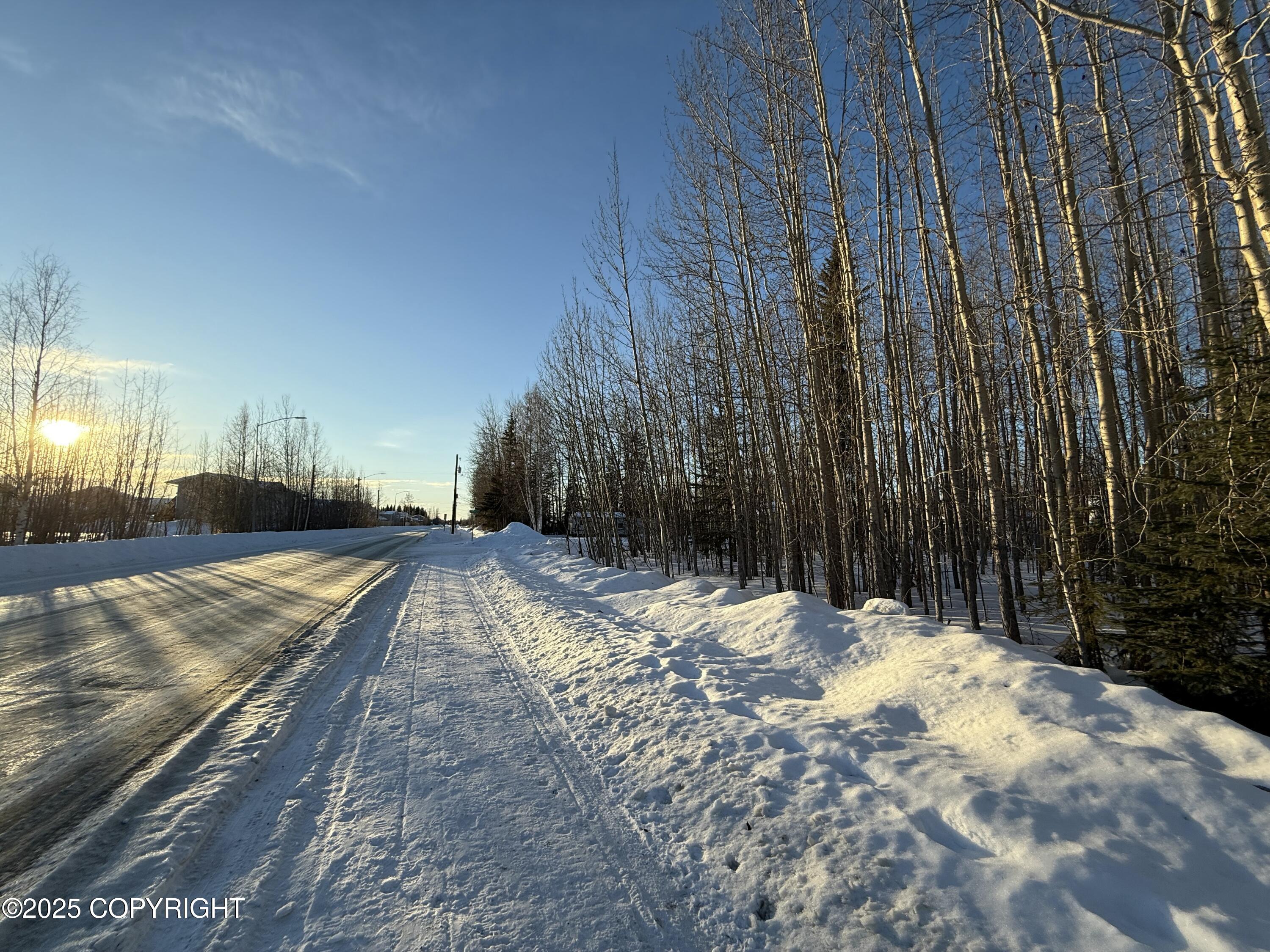 NHN N Nphs Blvd Street, North Pole, Alaska image 4