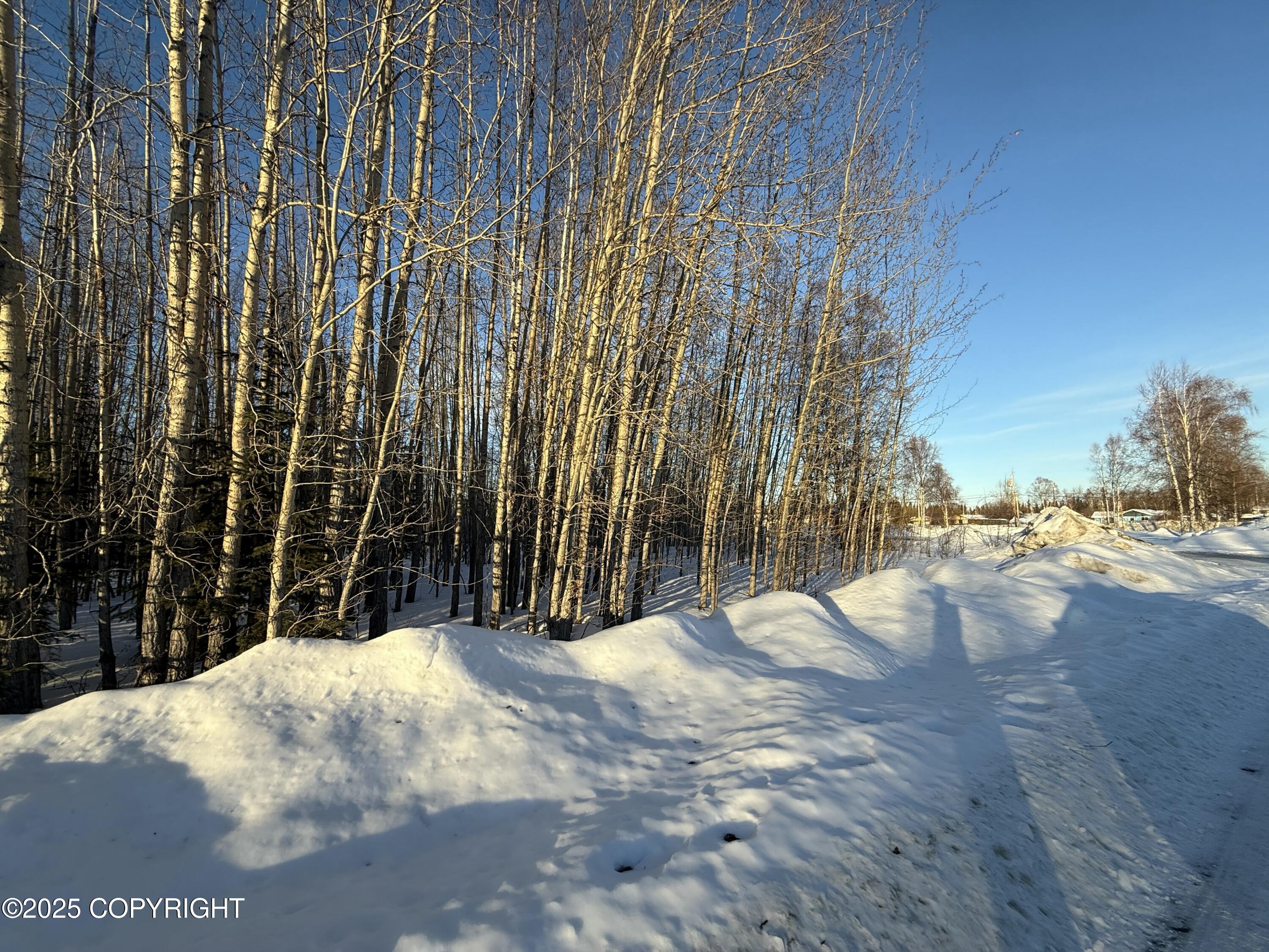 NHN N Nphs Blvd Street, North Pole, Alaska image 3