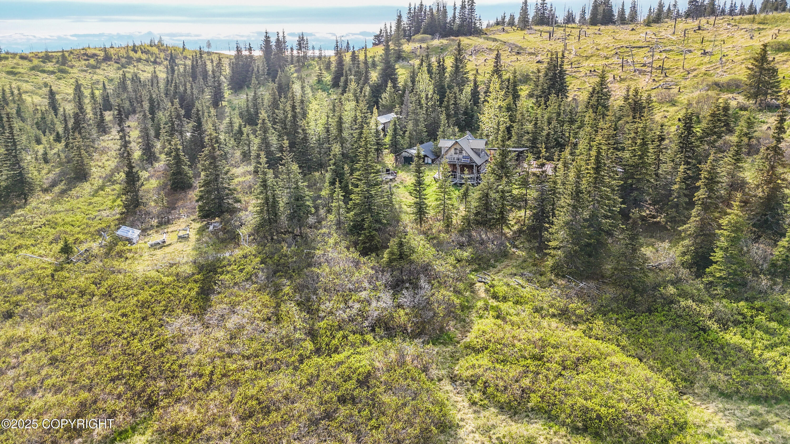 17775 SW Caribou Hills Rem, Ninilchik, Alaska image 9