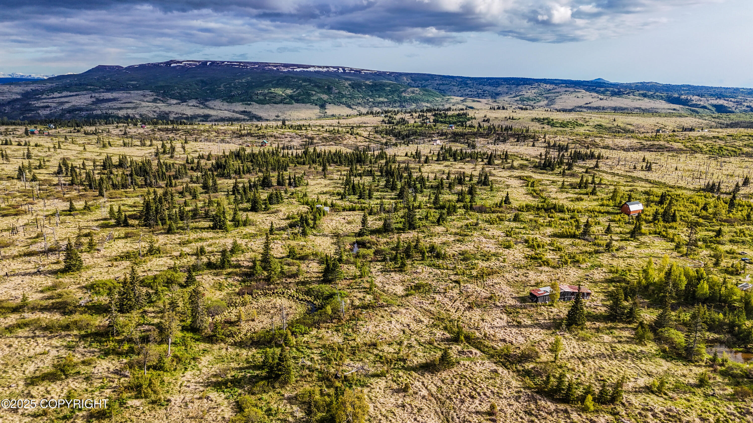 17775 SW Caribou Hills Rem, Ninilchik, Alaska image 4