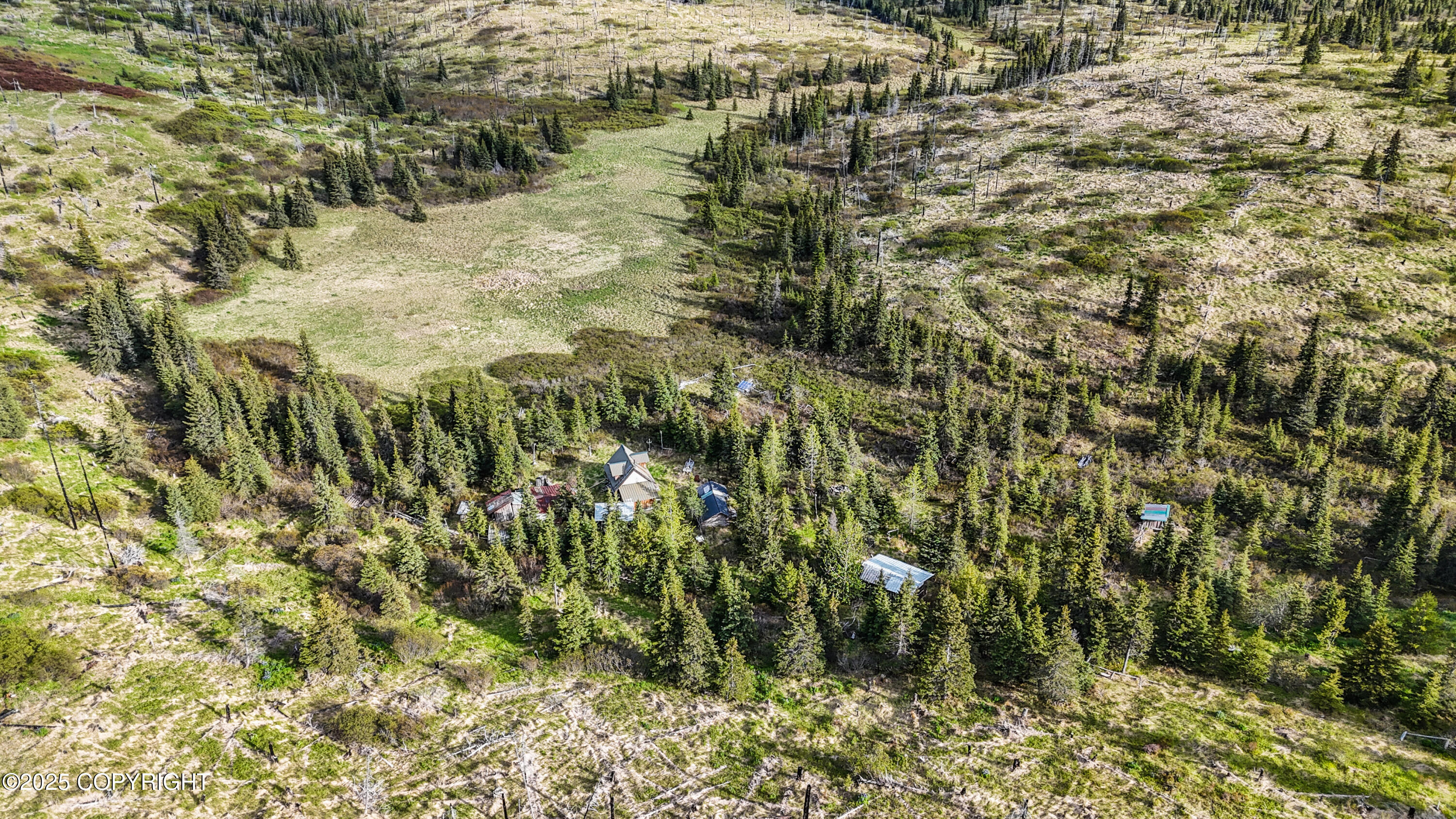 17775 SW Caribou Hills Rem, Ninilchik, Alaska image 2