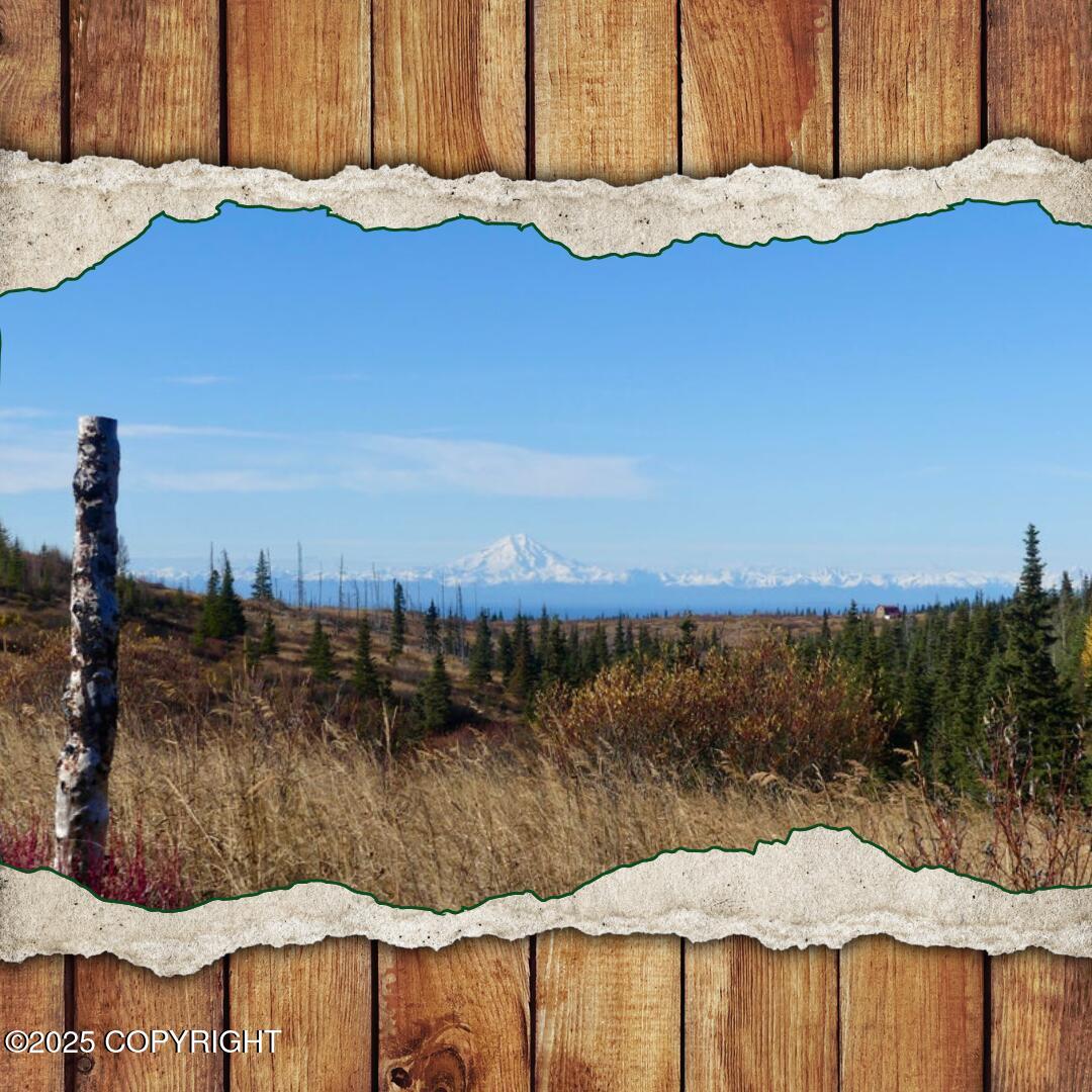 17775 SW Caribou Hills Rem, Ninilchik, Alaska image 1