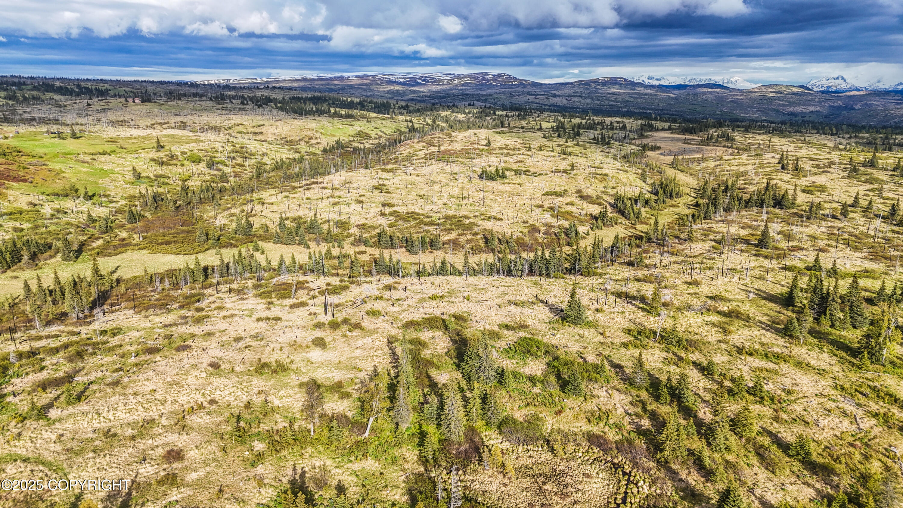 17775 SW Caribou Hills Rem, Ninilchik, Alaska image 6