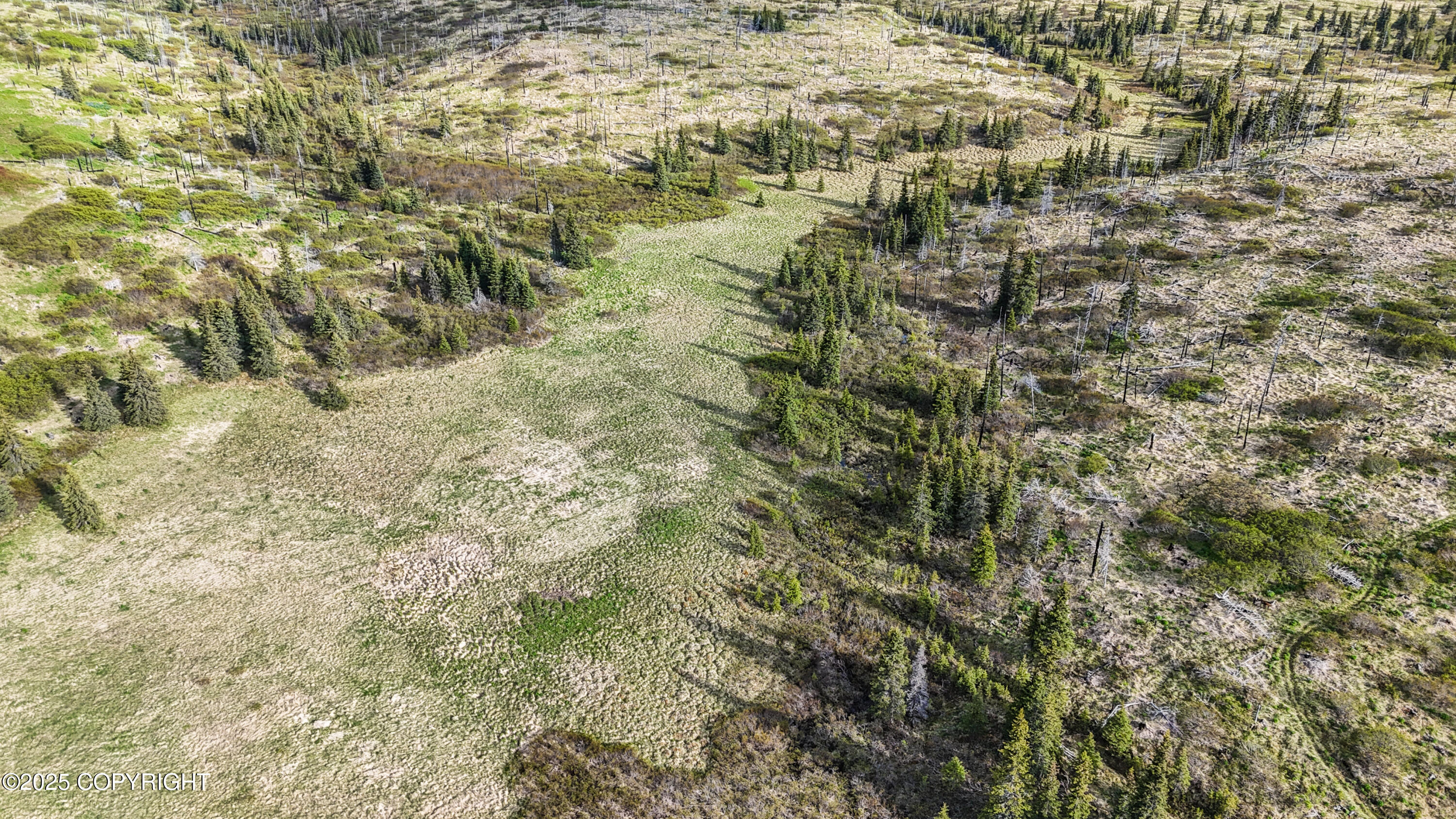 17775 SW Caribou Hills Rem, Ninilchik, Alaska image 3