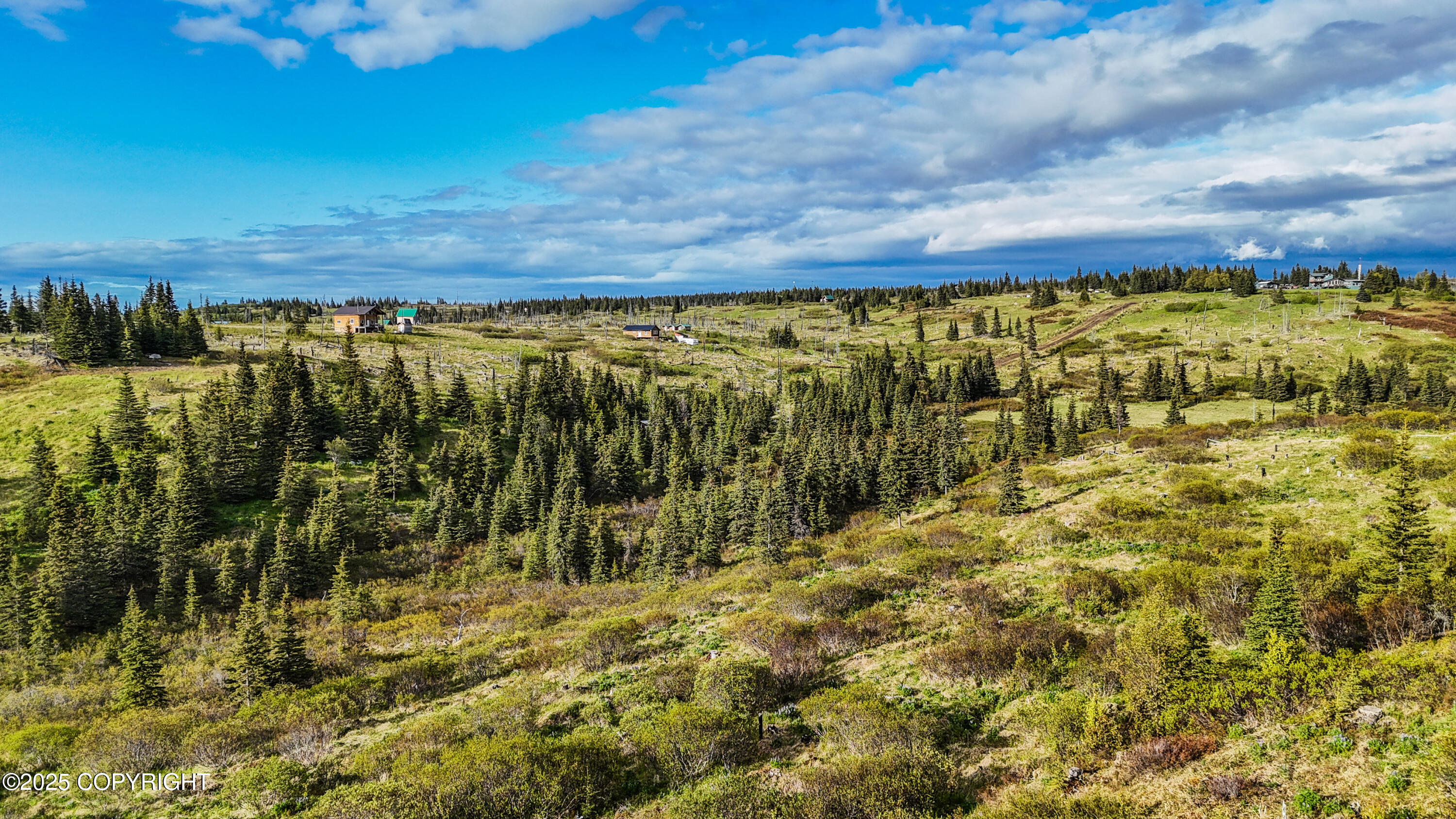 17775 SW Caribou Hills Rem, Ninilchik, Alaska image 17