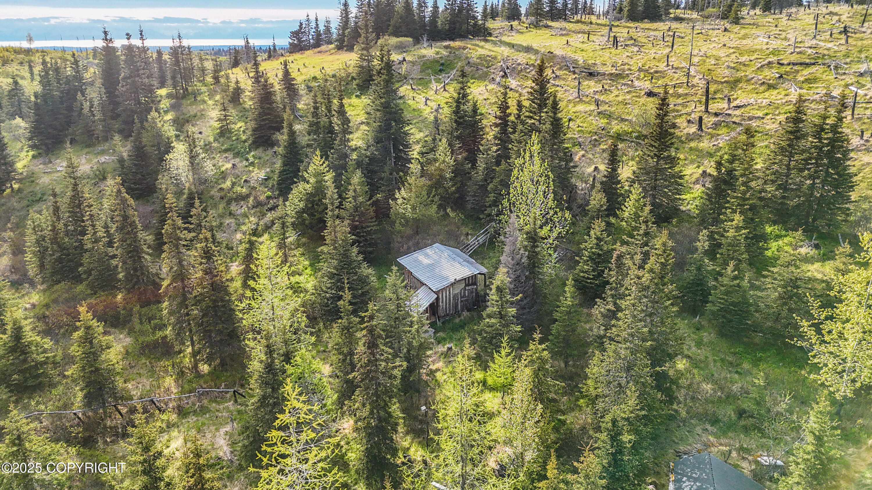 17775 SW Caribou Hills Rem, Ninilchik, Alaska image 19