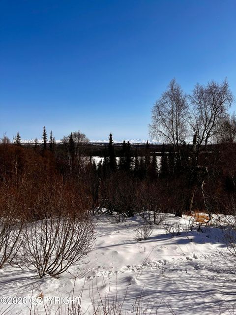 Vacant Land For Sale - 51136 Caughlin Avenue<br/> Kasilof, AK 99610