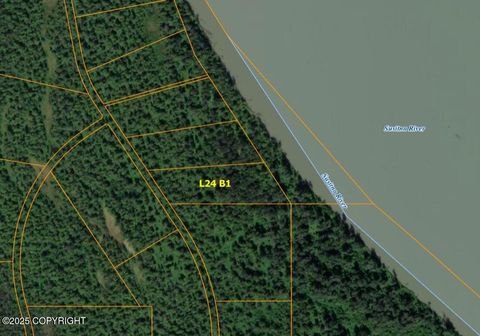 Photo of L24 B1 Susitna River (No Road), Skwentna, AK 99667 (MLS # 25-13011) Photo of L24 B1 Susitna River (No Road), Skwentna, AK 99667 (MLS # 25-13011)