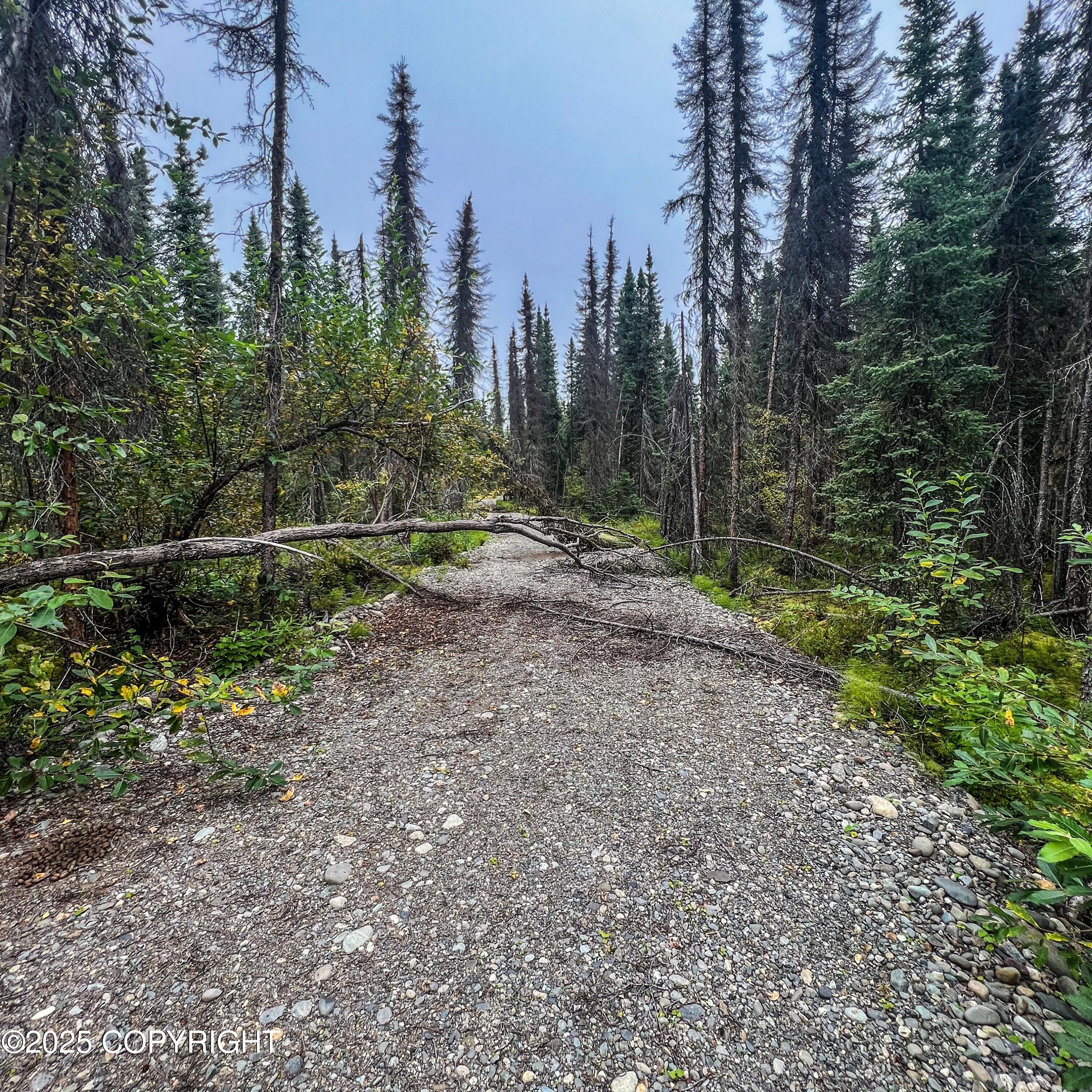 39795 Parks Highway, Willow, Alaska image 9