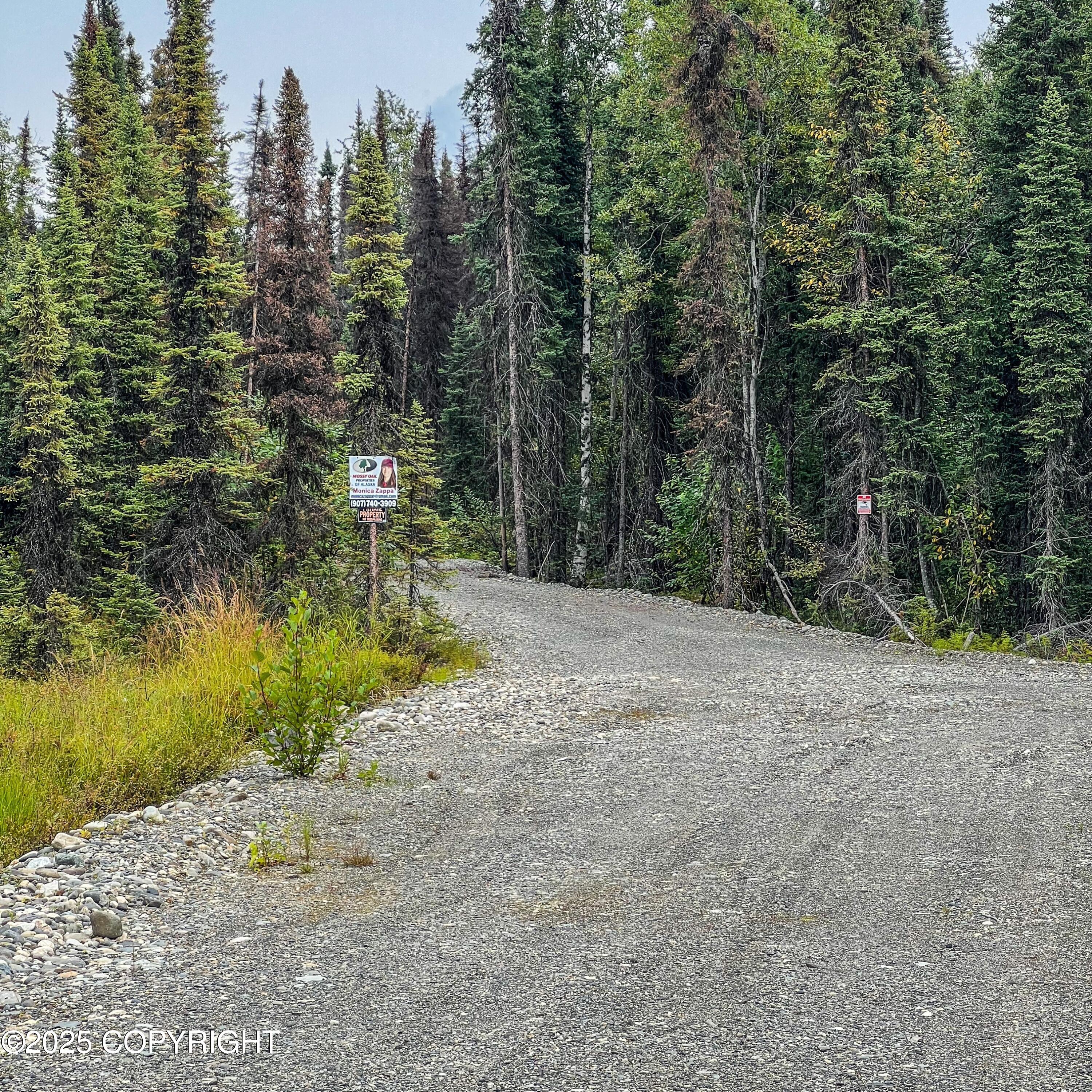 39795 Parks Highway, Willow, Alaska image 3