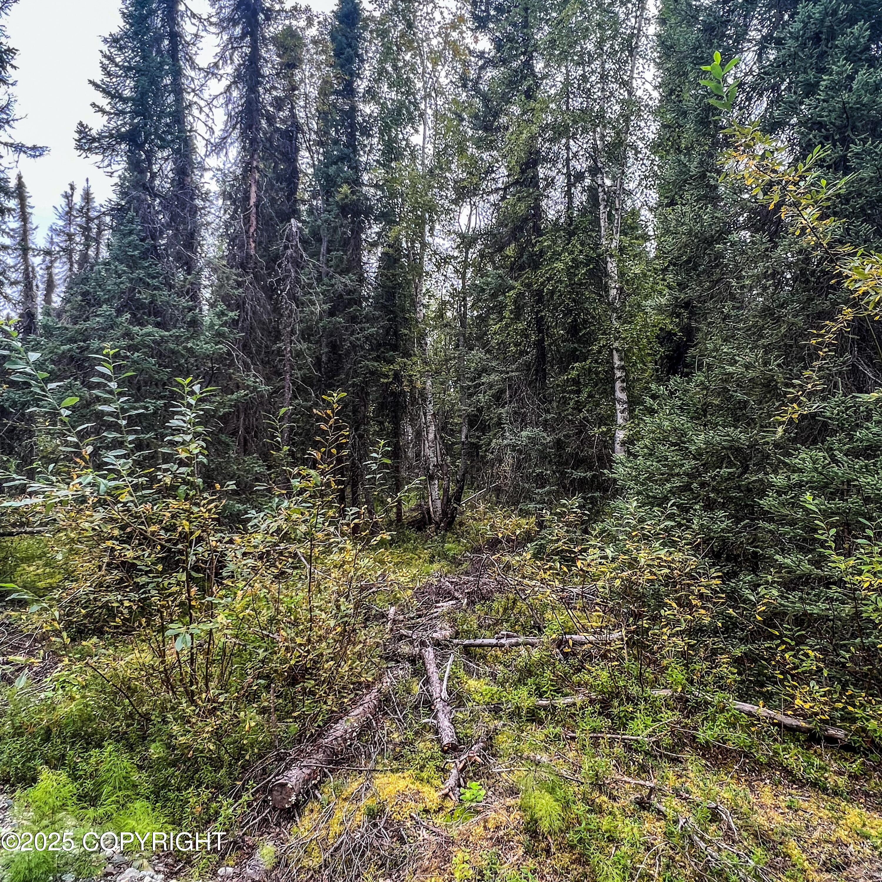 39795 Parks Highway, Willow, Alaska image 18