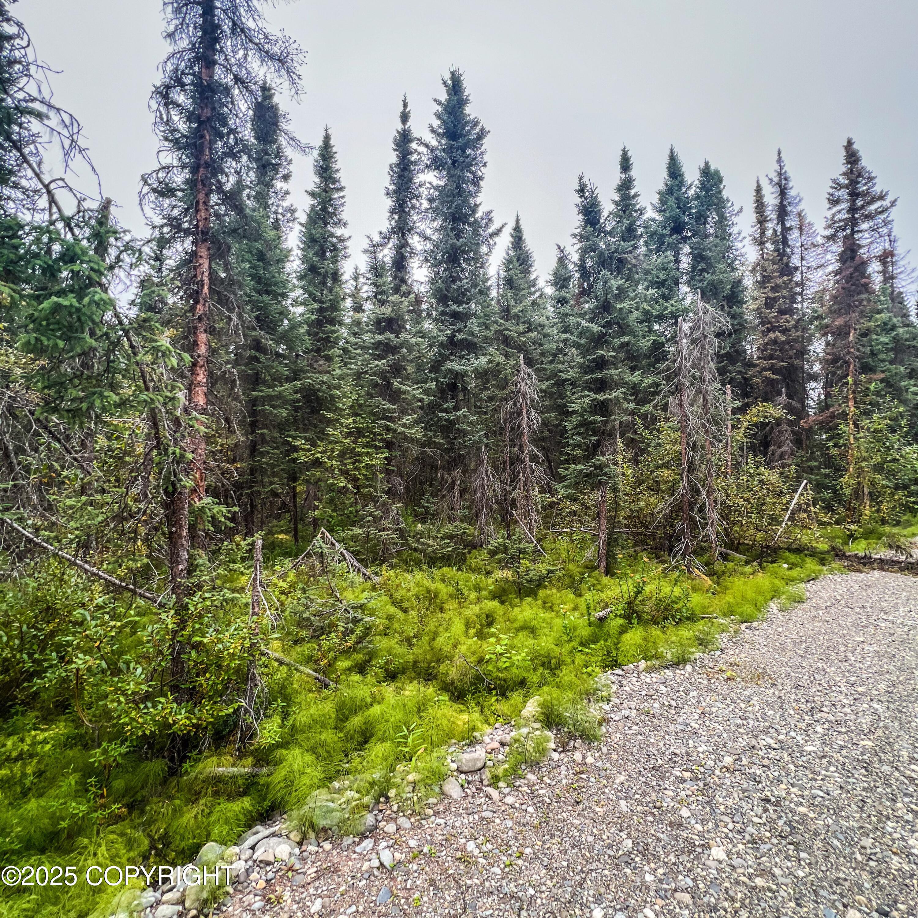39795 Parks Highway, Willow, Alaska image 11