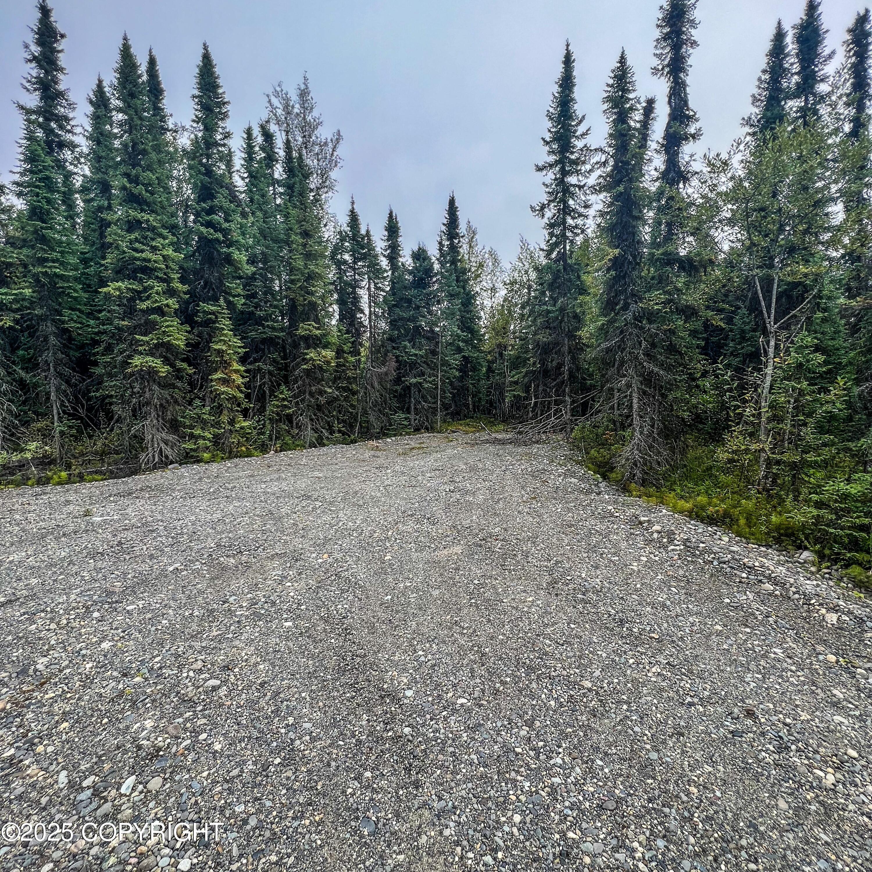 39795 Parks Highway, Willow, Alaska image 7