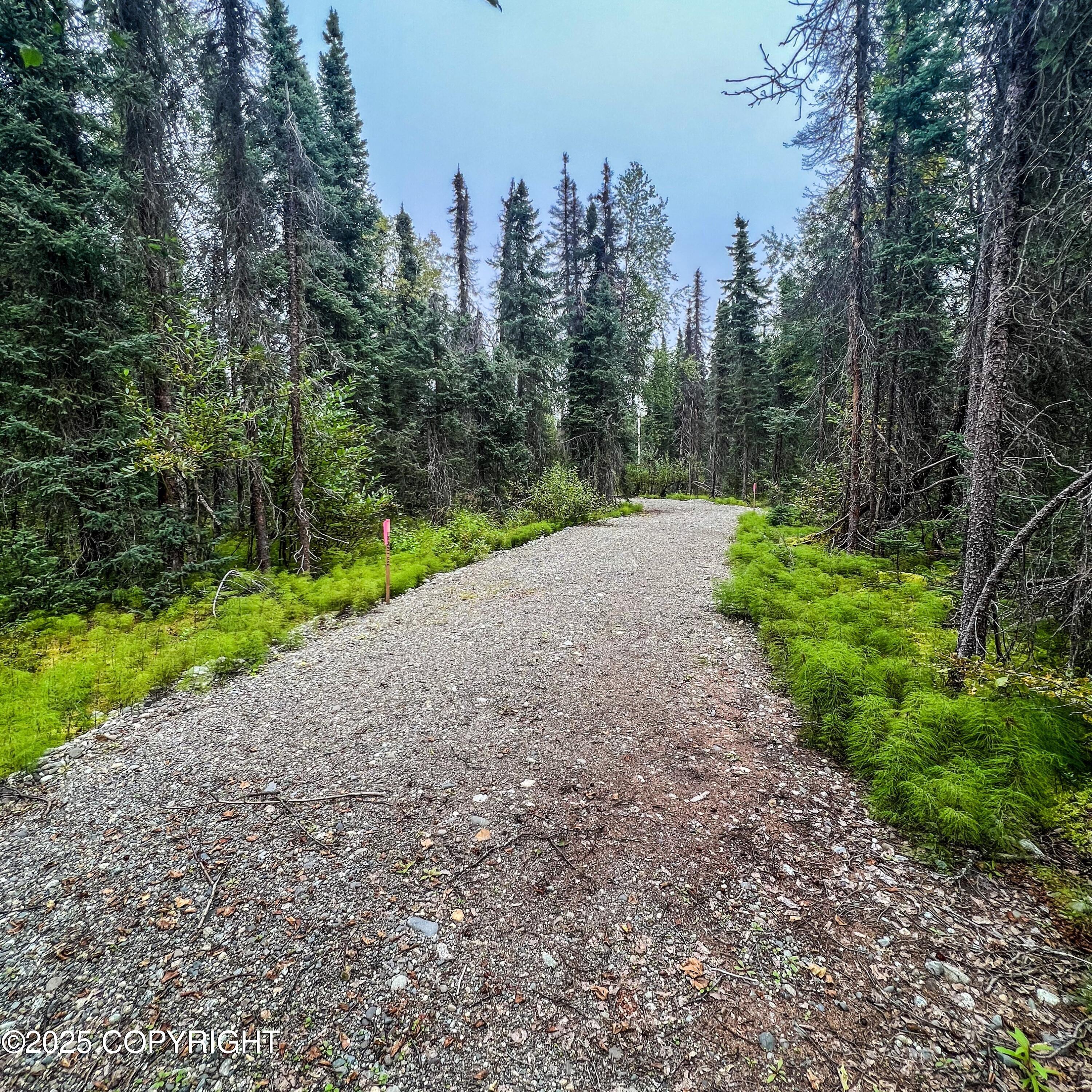 39795 Parks Highway, Willow, Alaska image 12