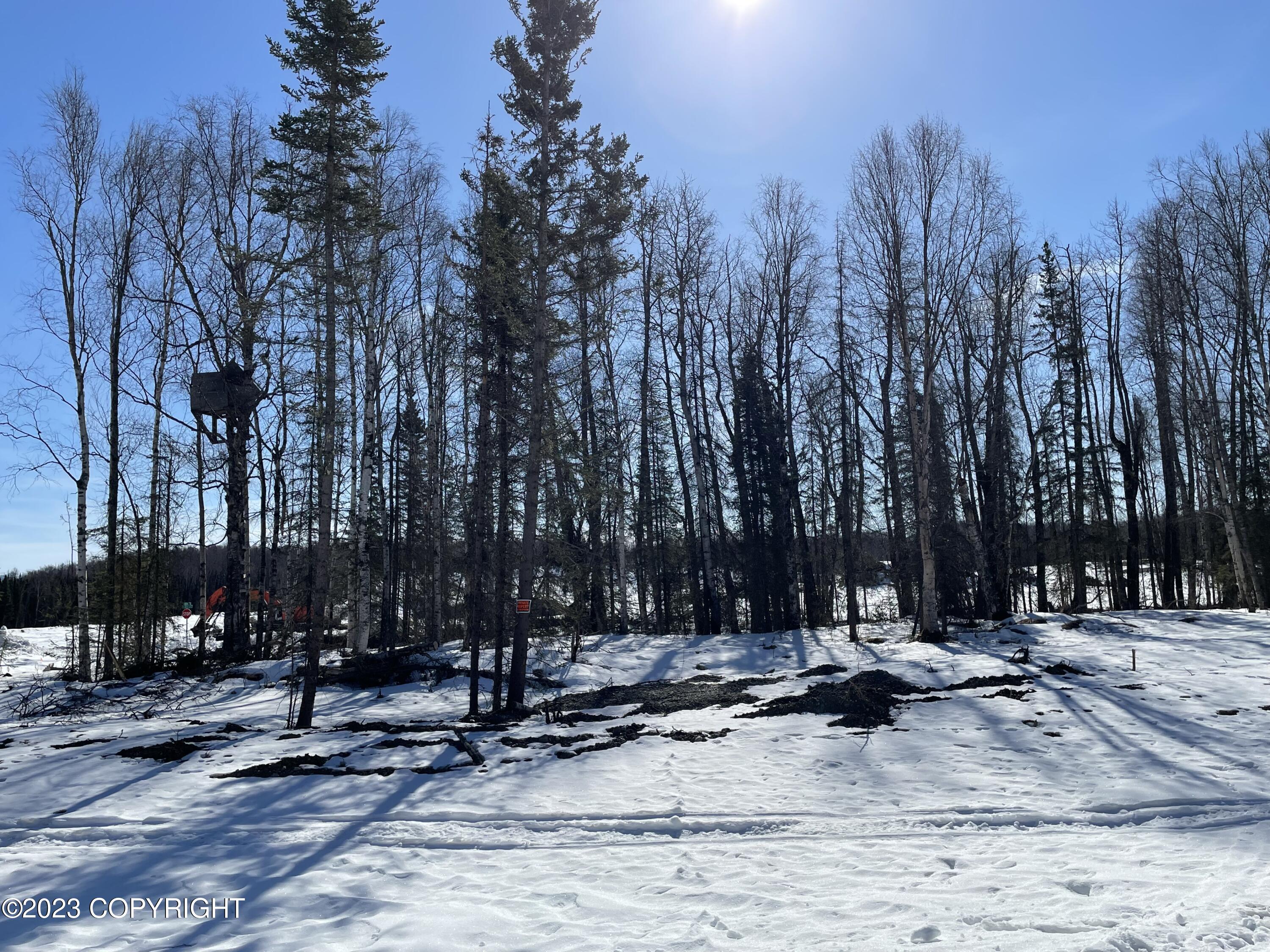 000 W Longview Circle, Wasilla, Alaska image 4