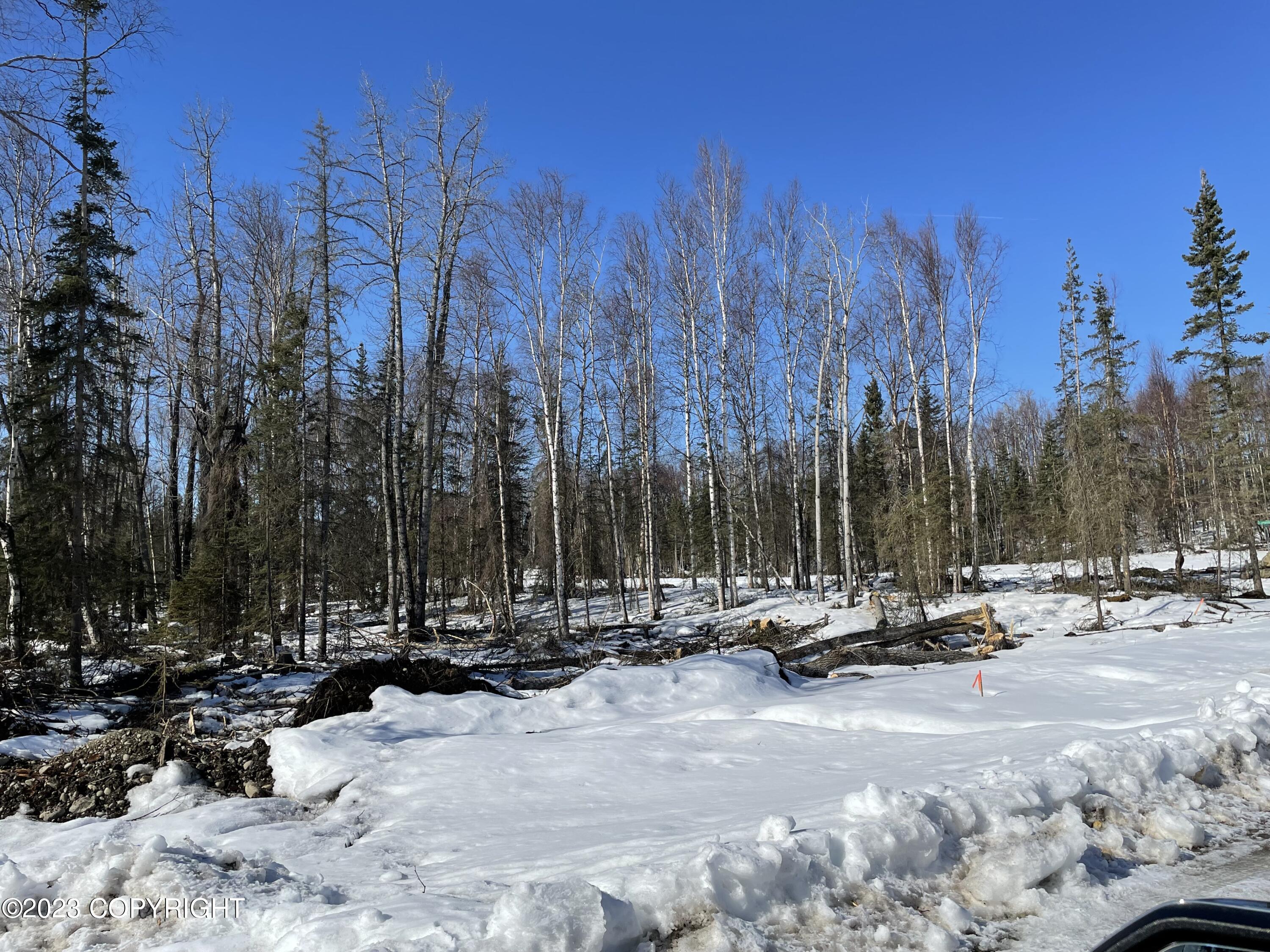 000 W Longview Circle, Wasilla, Alaska image 5