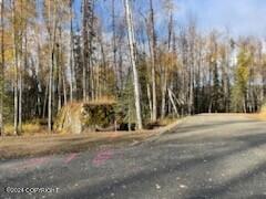Lot 4 E Authentic Road, Soldotna, Alaska image 8