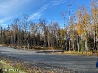 Lot 4 E Authentic Road, Soldotna, Alaska image 9