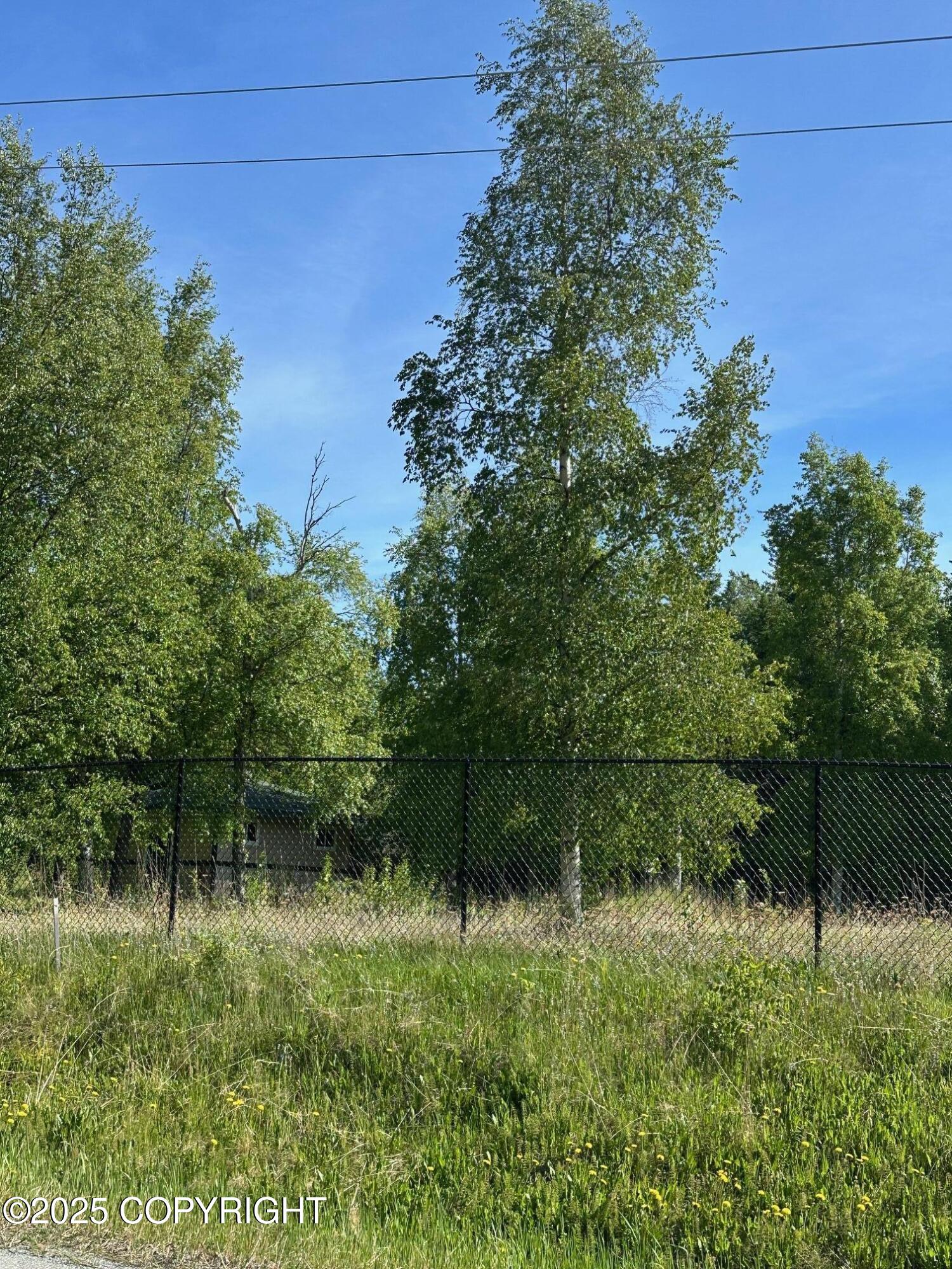 901 S Hay Street, Wasilla, Alaska image 7