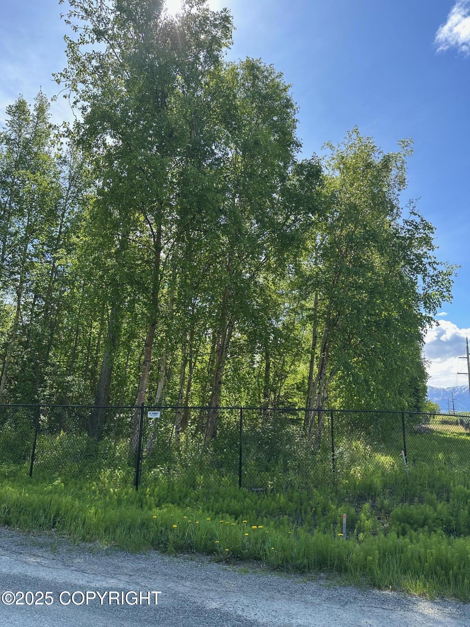 901 S Hay Street, Wasilla, Alaska image 5