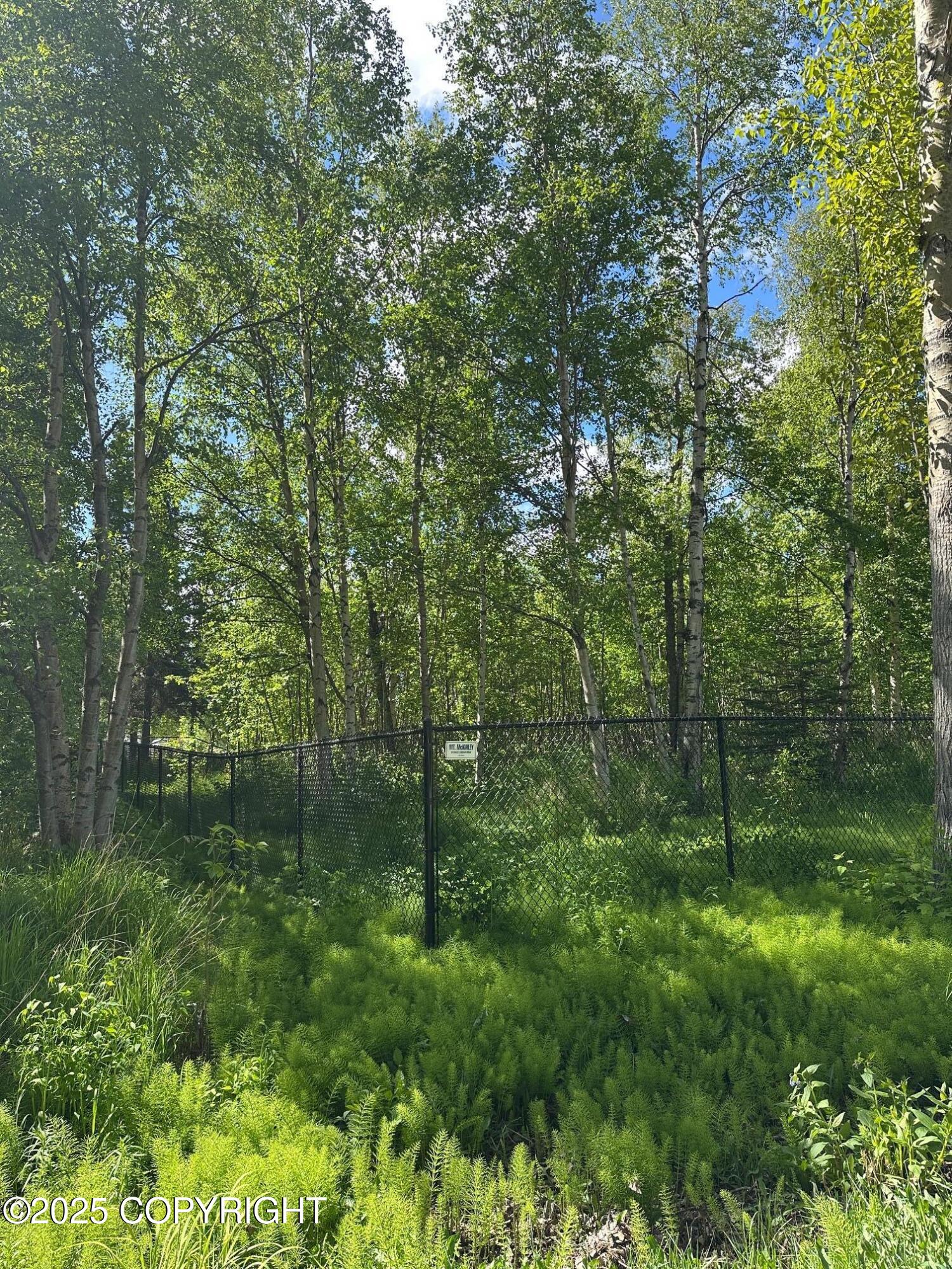 901 S Hay Street, Wasilla, Alaska image 4