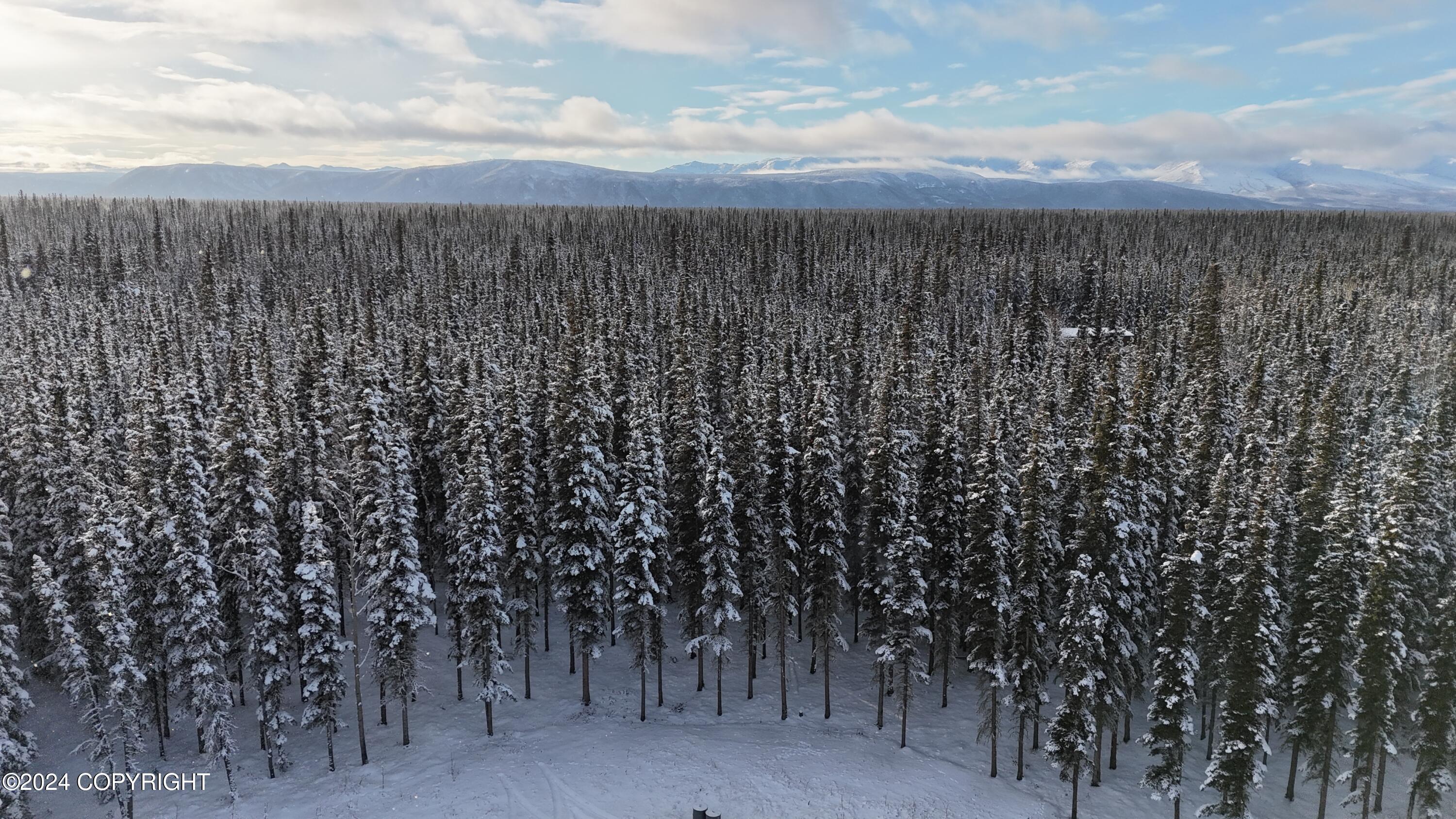 Tok, Alaska 99780, United States, 3 Bedrooms Bedrooms, ,2 BathroomsBathrooms,Residential,Active,36531