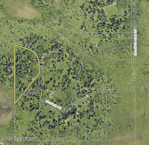 Vacant Land For Sale - 46075 Muskeg Drive<br/> Homer, AK 99603