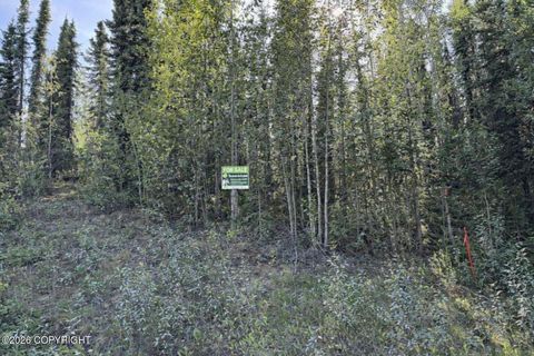 Vacant Land For Sale - 36903 Lake Road<br/> Soldotna, AK 99669