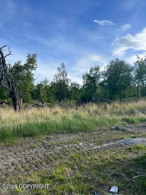 Photo of 850 E Blue Atlas Circle, Palmer, AK 99645 (MLS # 26-3523)