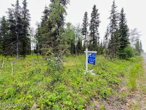Vacant Land For Sale - L2 Madsen Avenue<br/> Kasilof, AK 99610
