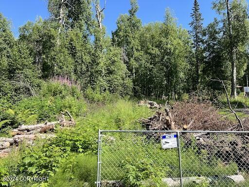 L482 Caswell Lake, Willow, Alaska image 6
