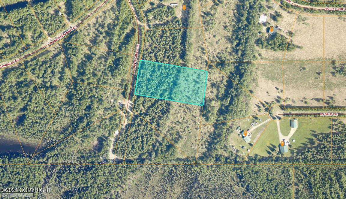 L26 Big Salchaket, Salcha, Alaska image 2