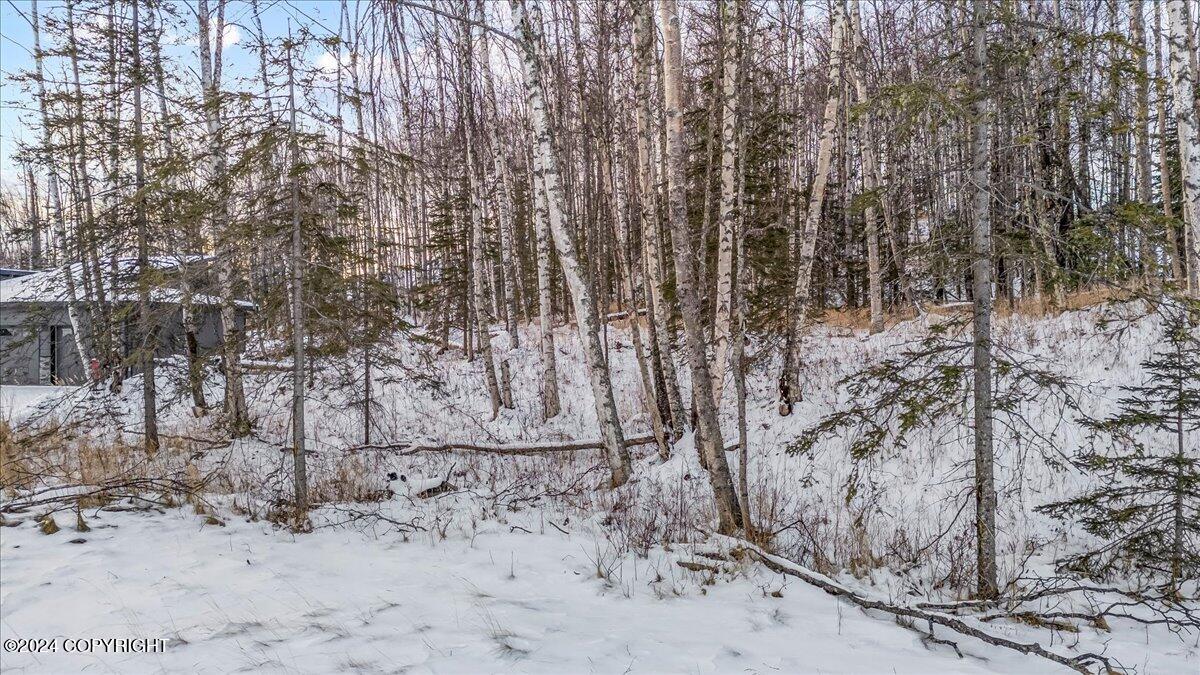 1958 S Laurie Meadows Drive, Wasilla, Alaska image 17