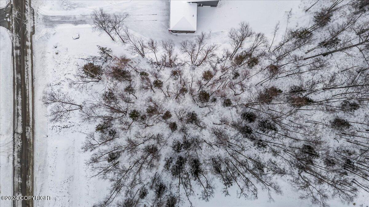 1958 S Laurie Meadows Drive, Wasilla, Alaska image 3