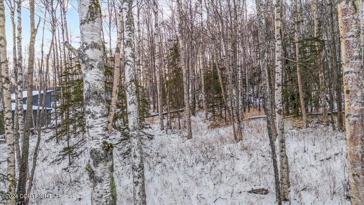 1958 S Laurie Meadows Drive, Wasilla, Alaska image 15