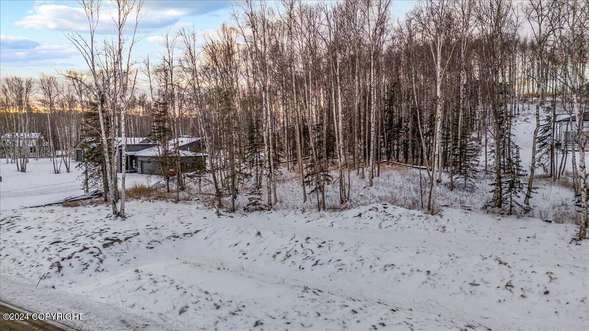 1958 S Laurie Meadows Drive, Wasilla, Alaska image 10