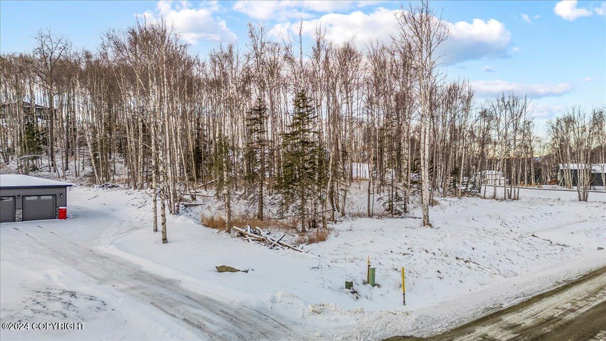 1958 S Laurie Meadows Drive, Wasilla, Alaska image 11
