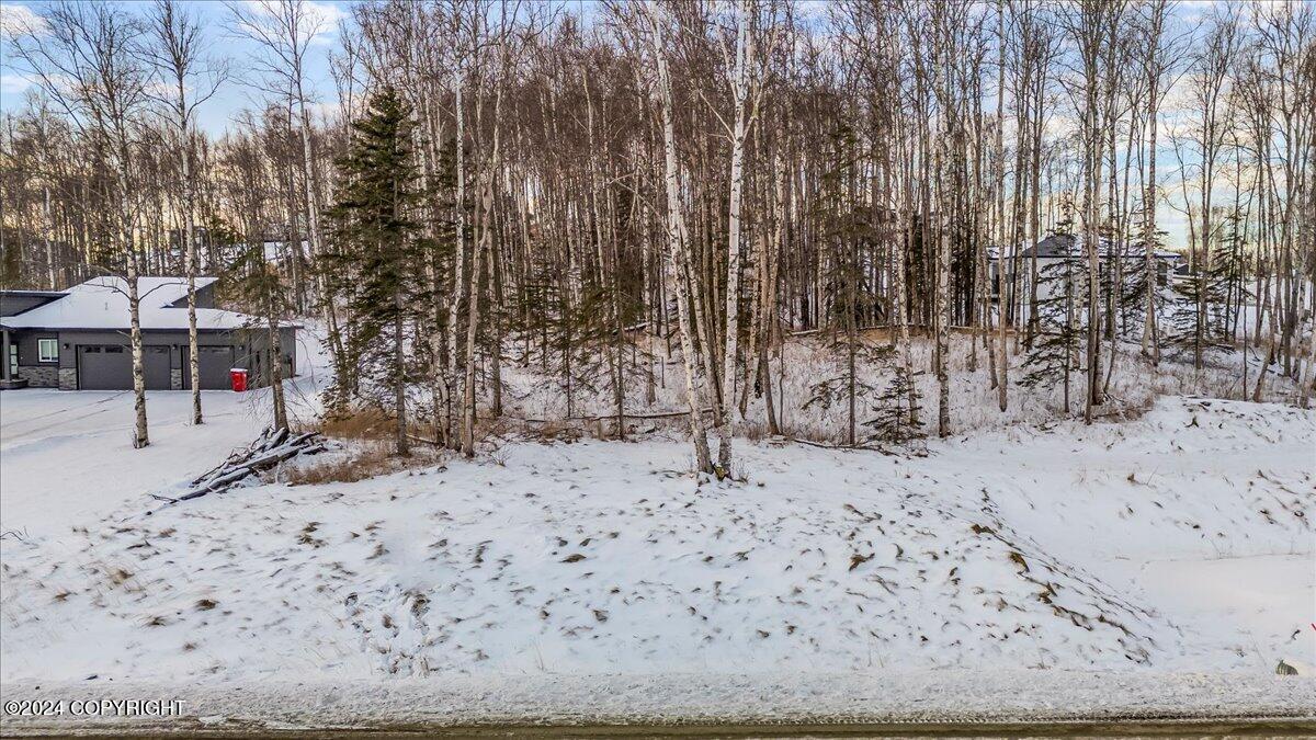 1958 S Laurie Meadows Drive, Wasilla, Alaska image 14