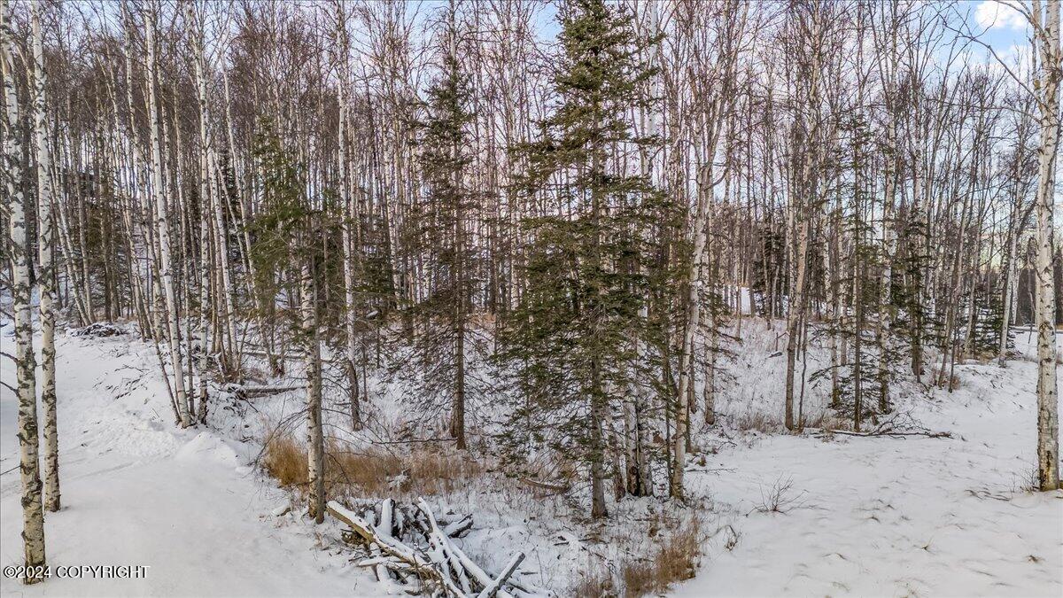 1958 S Laurie Meadows Drive, Wasilla, Alaska image 16